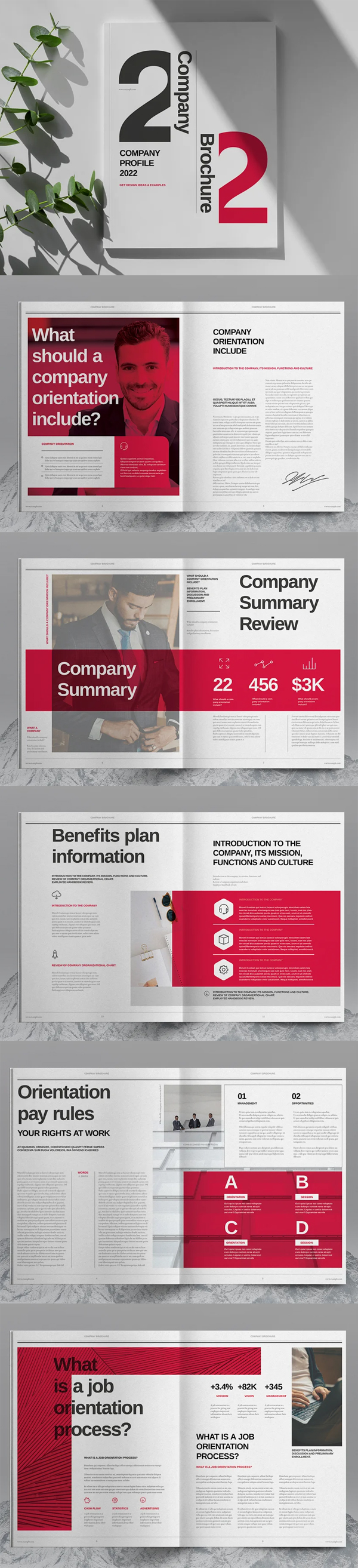 Modern Company Profile Brochure