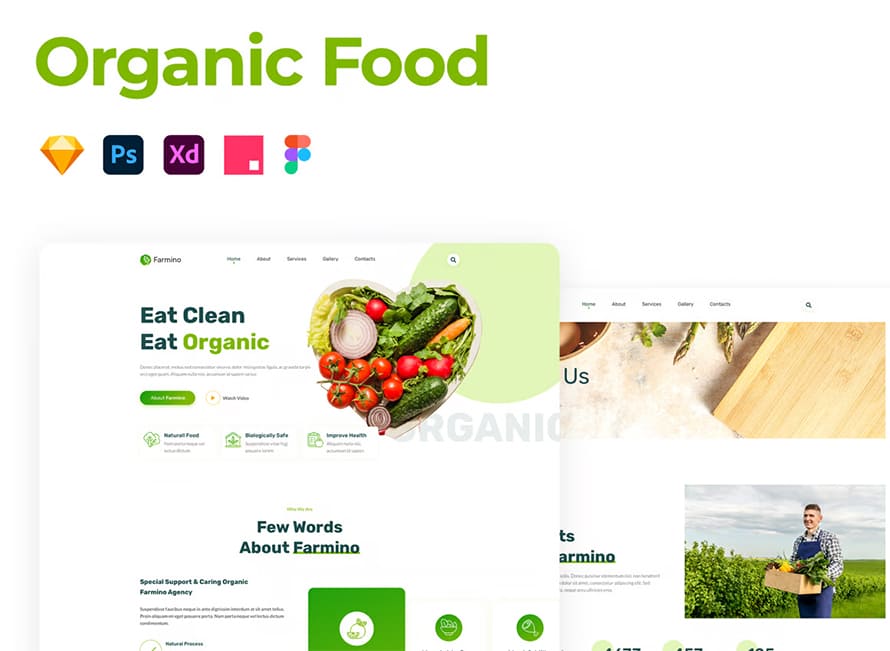Creative Organic Food Template