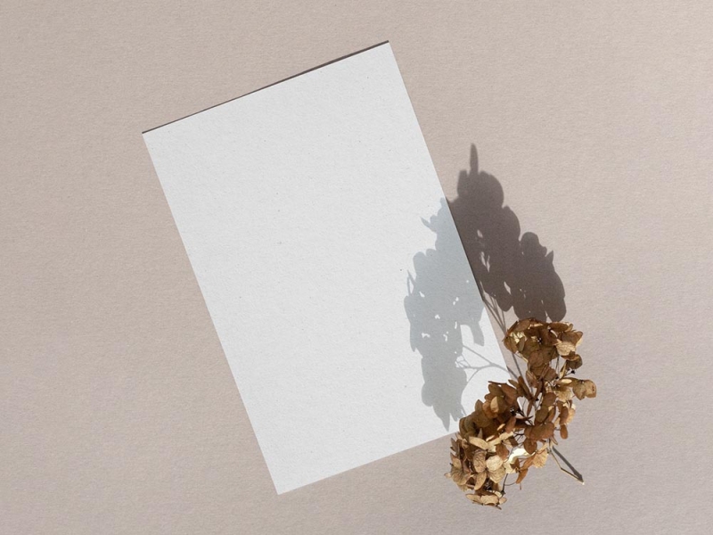 Free Lumea Stationery Mockup