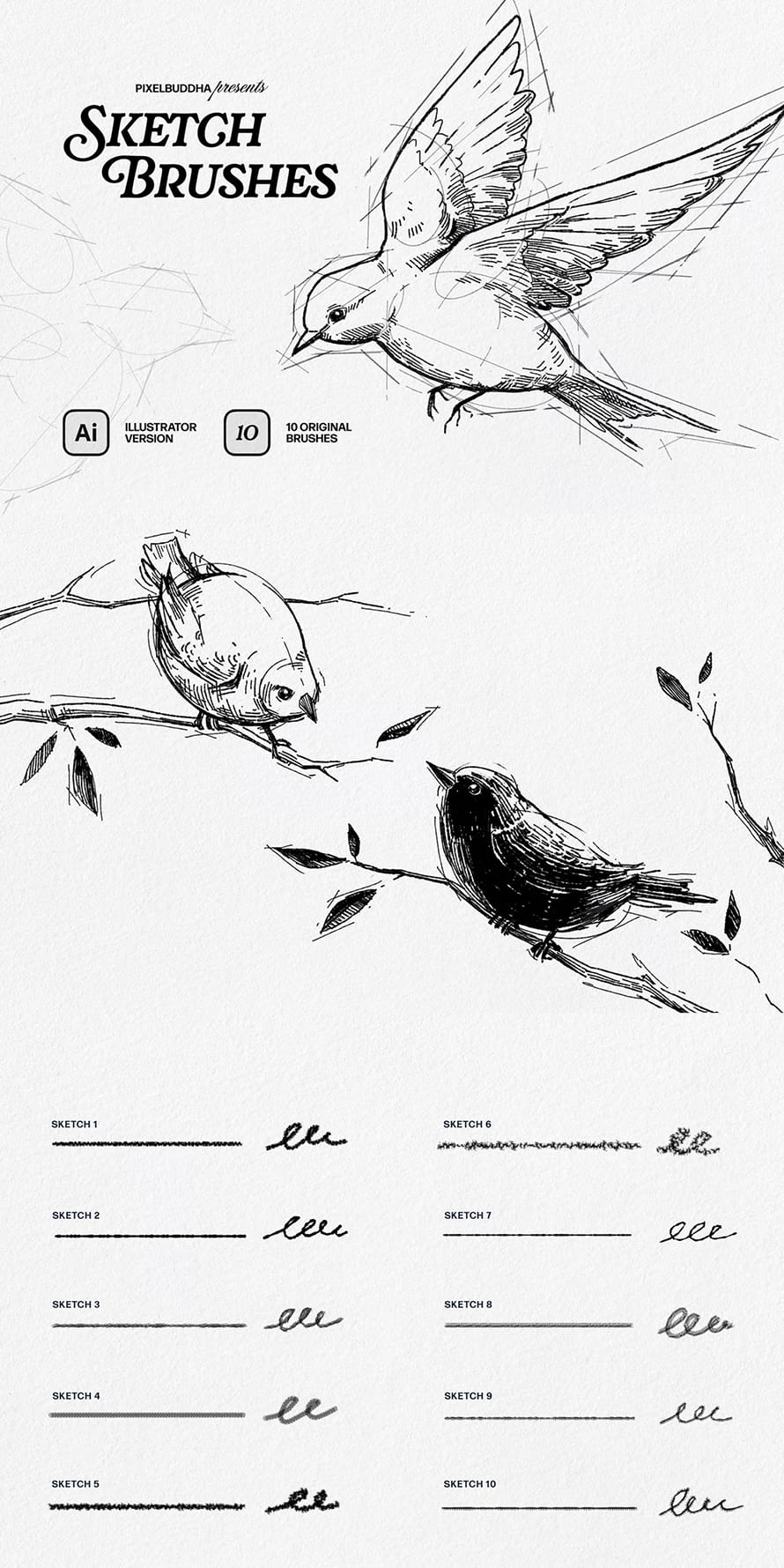 SKETCHER Sketch Brushes for Illustrator