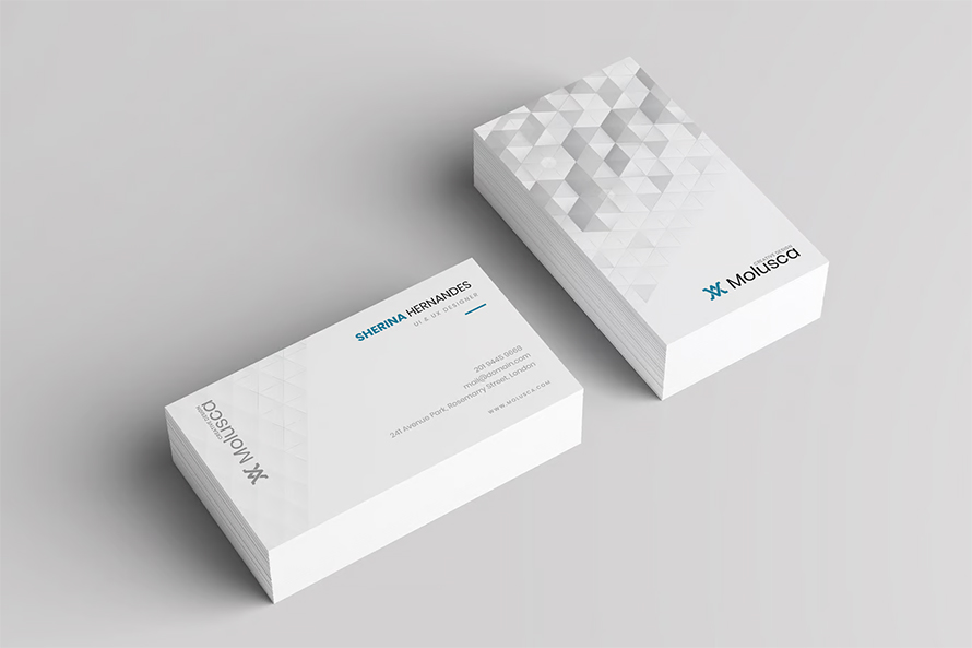 Molusca Business Card