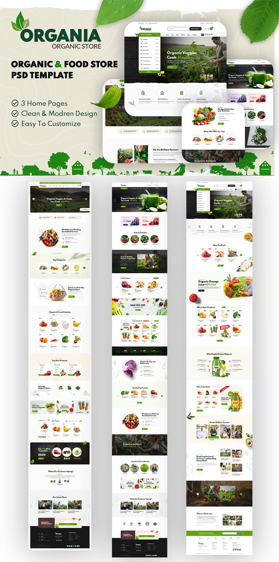 Organic Foods Store Psd Template