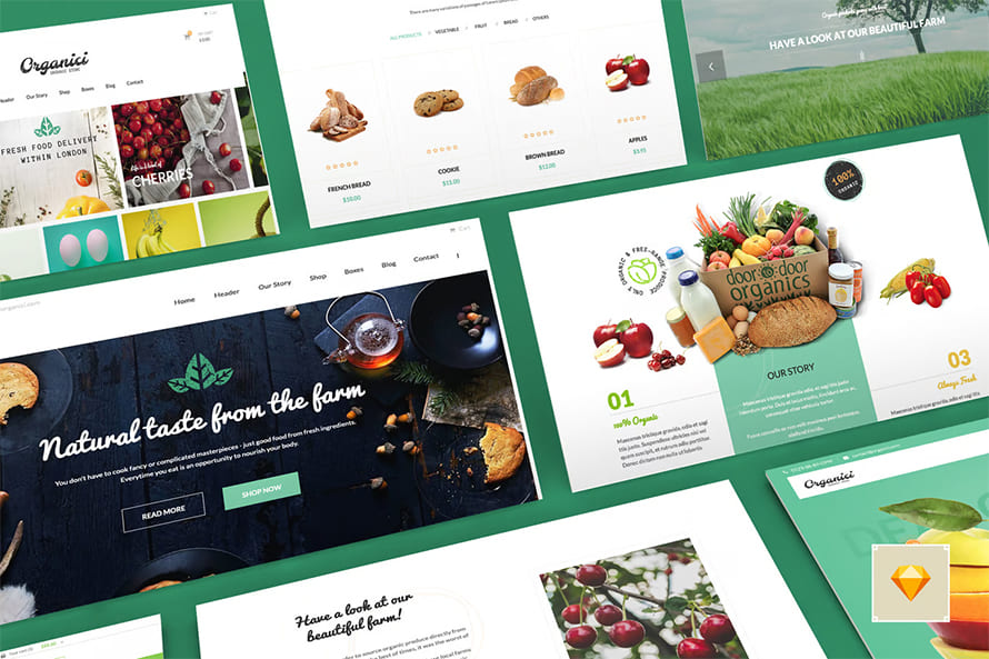 Organic Store Sketch Template