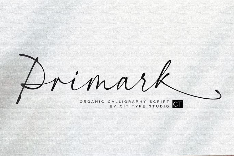 Primark Modern Calligraphy Script Font