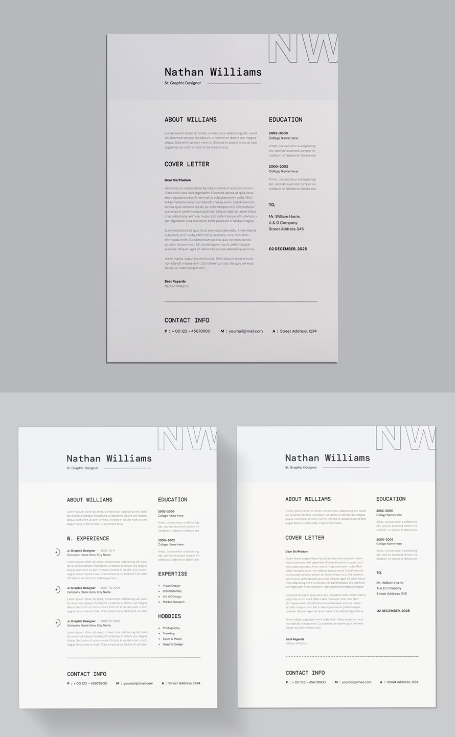 Minimal Resume / CV Template