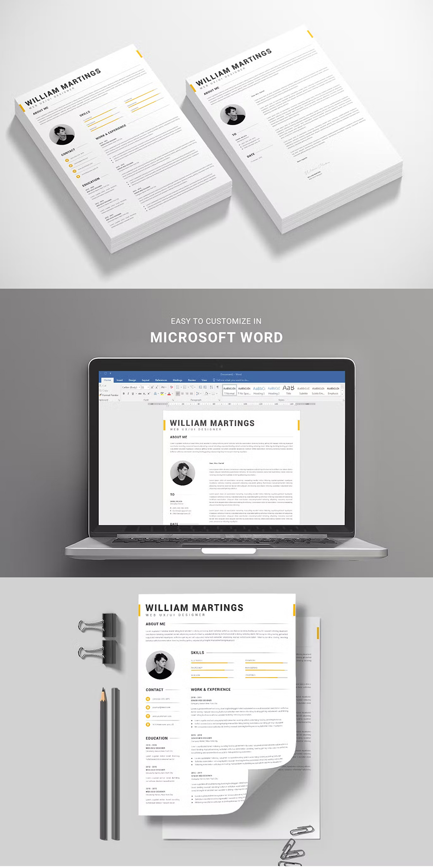 Professional Resume Template Ms Word