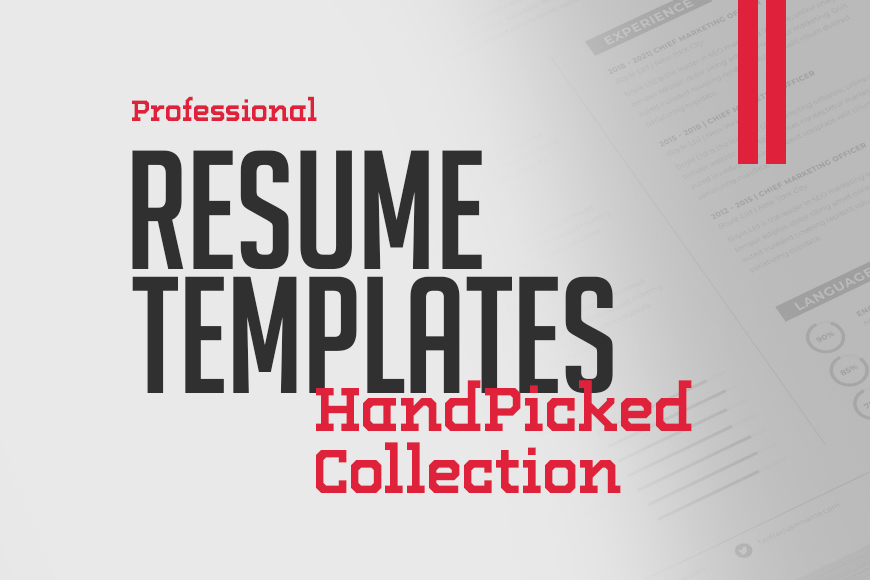 Professional Resume Templates for the Perfect Resume